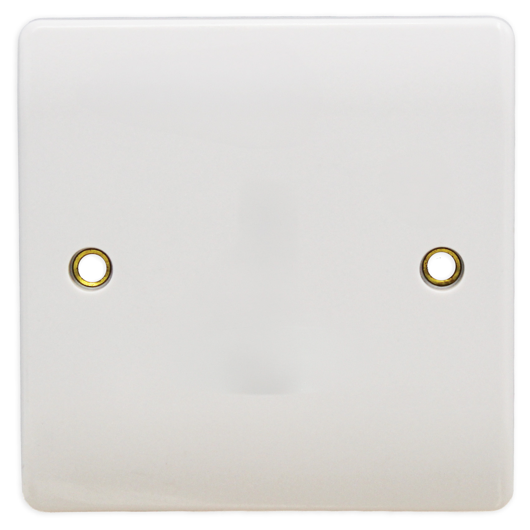 1G Blank Plate